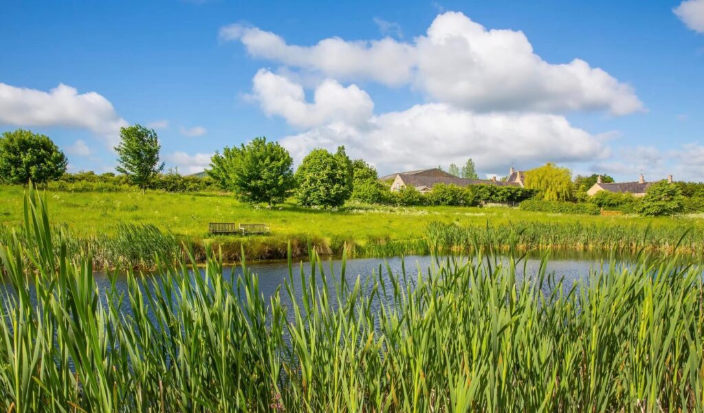 View of grand house looking from across a meadow, with a lake inbetween